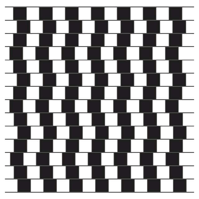 10 Optical Illusions That Will Make Your Brain Hurt!