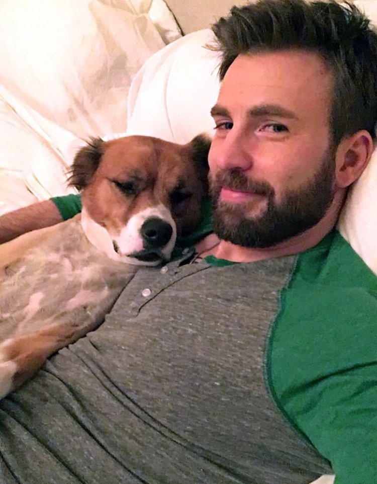 Celeb Dog Dads